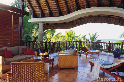 Royal Palm 11